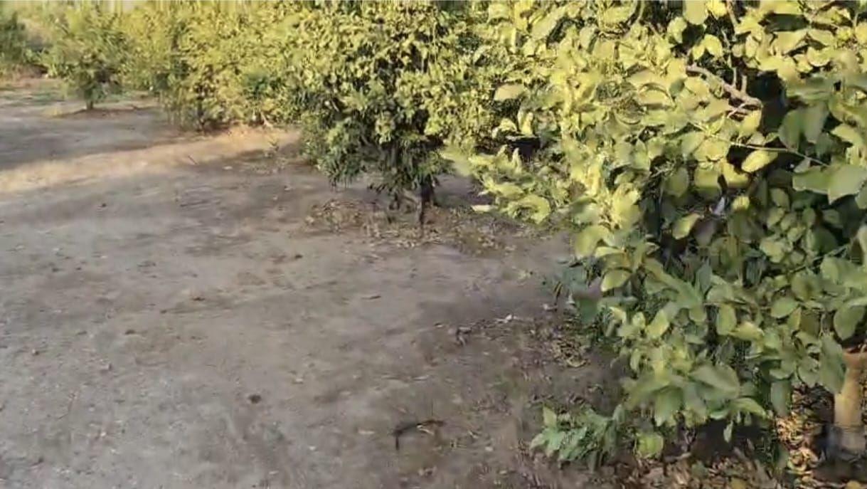 Plot for Sale in Álora