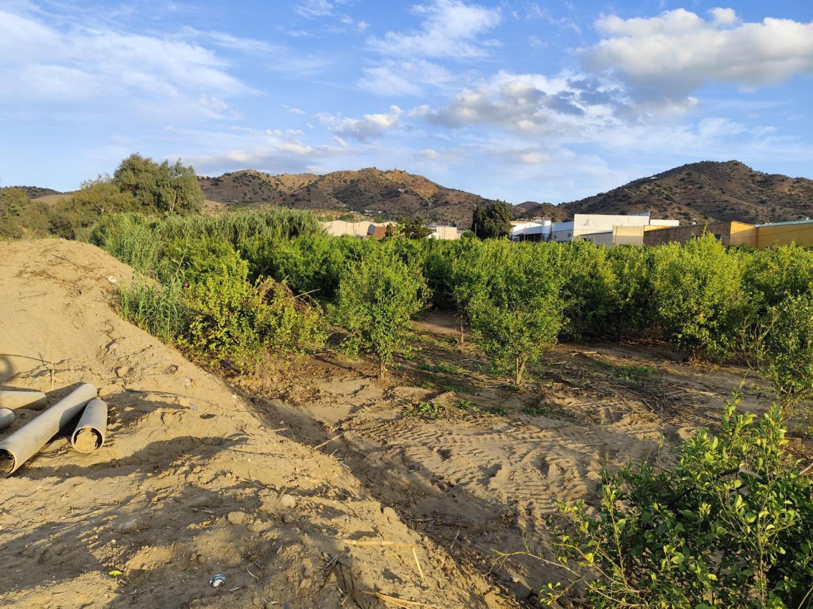 Plot for Sale in Álora
