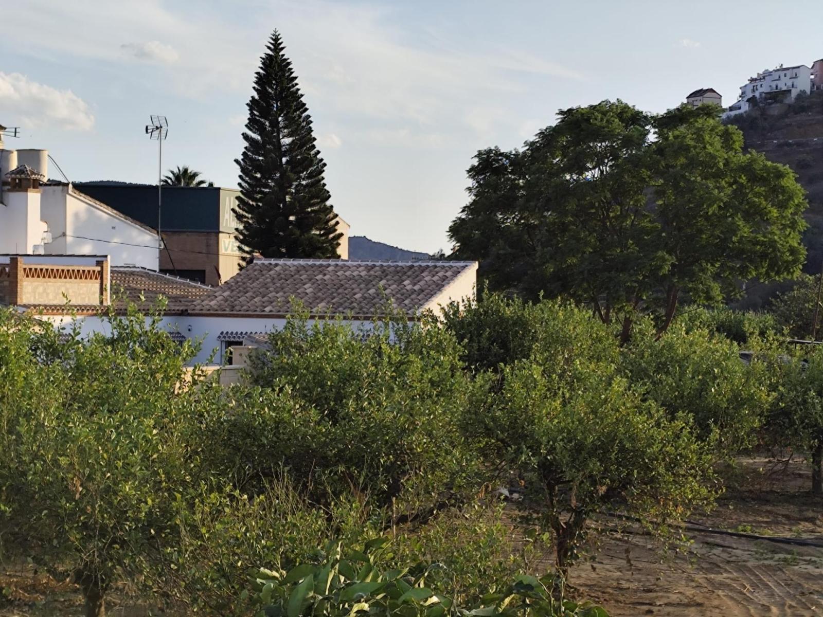 Plot for Sale in Álora