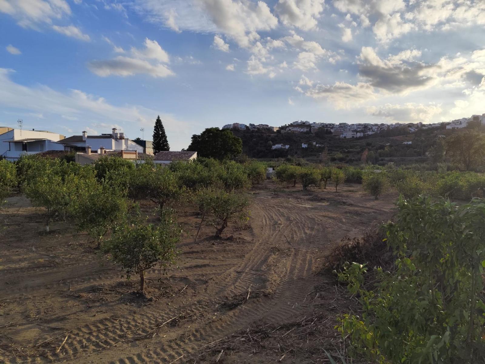 Plot for Sale in Álora
