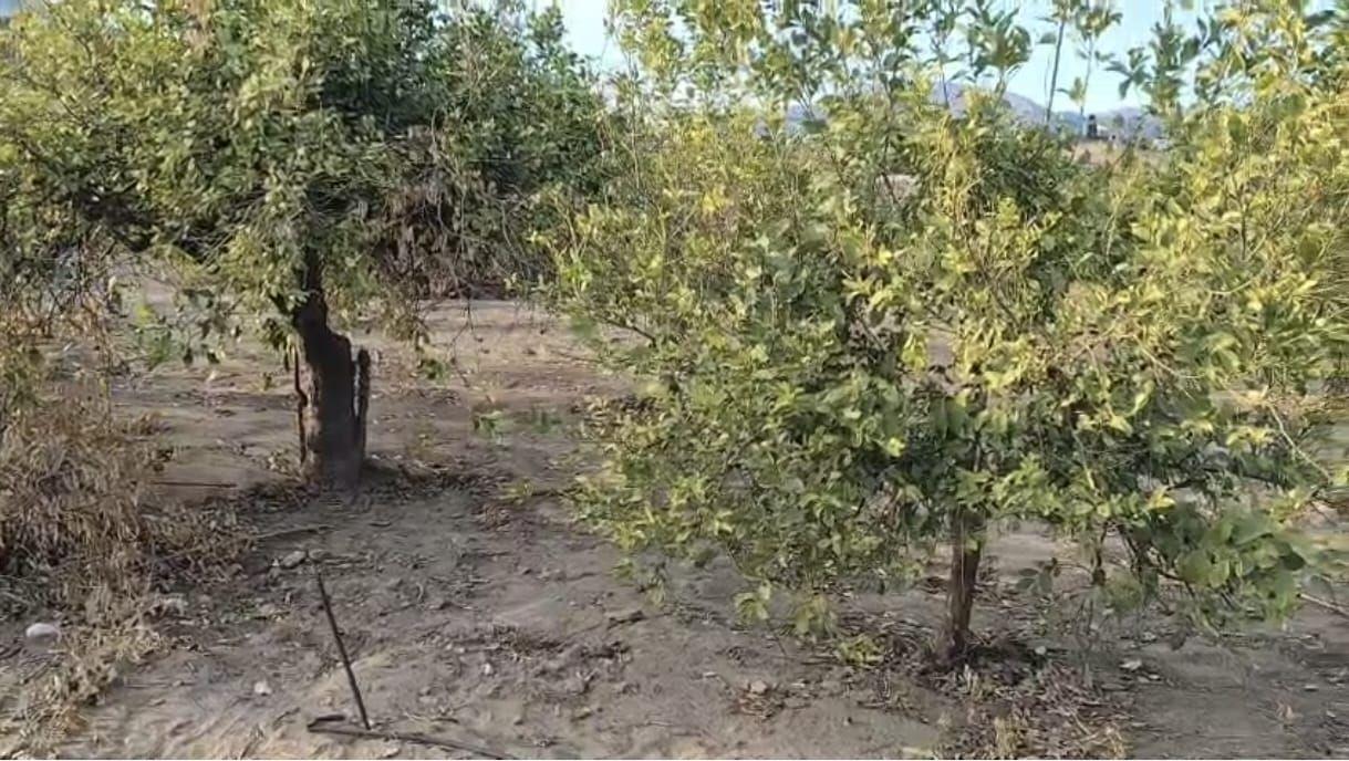 Plot for Sale in Álora