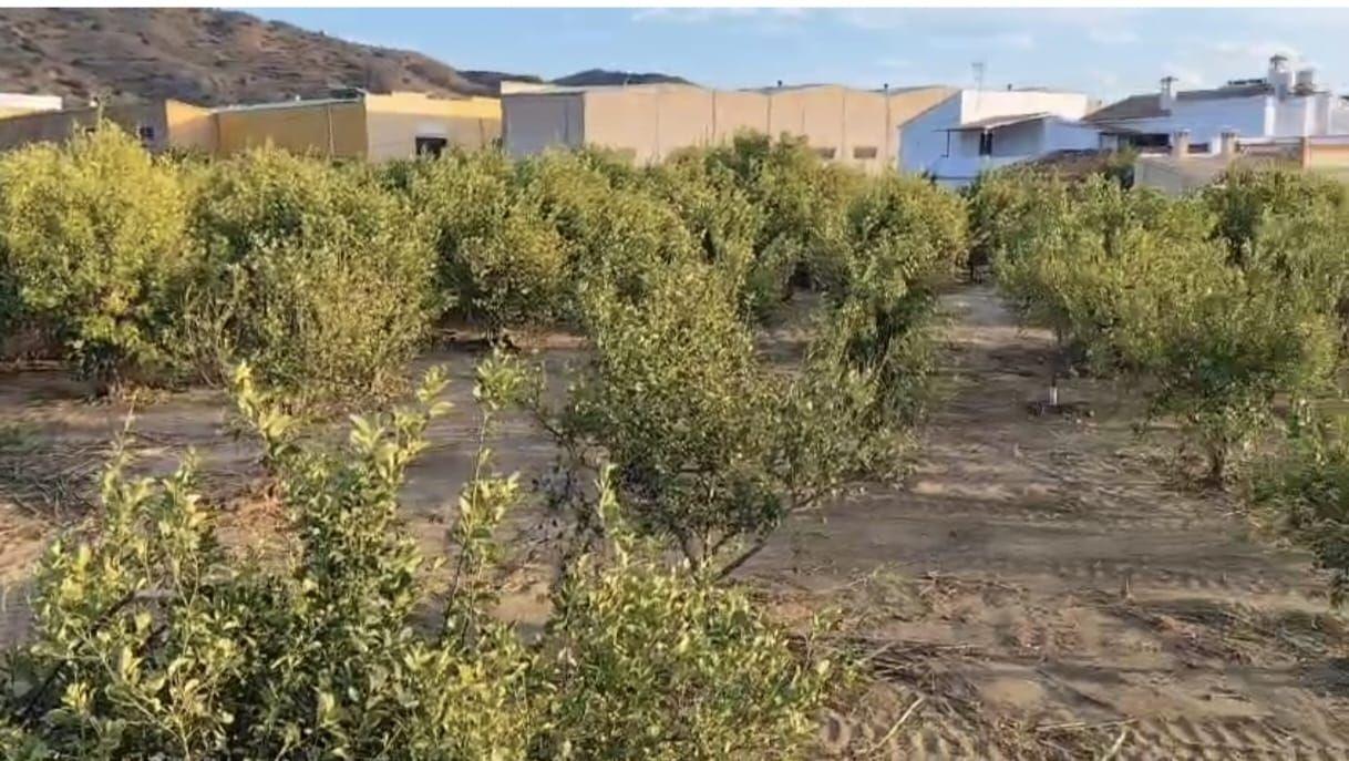 Plot for Sale in Álora
