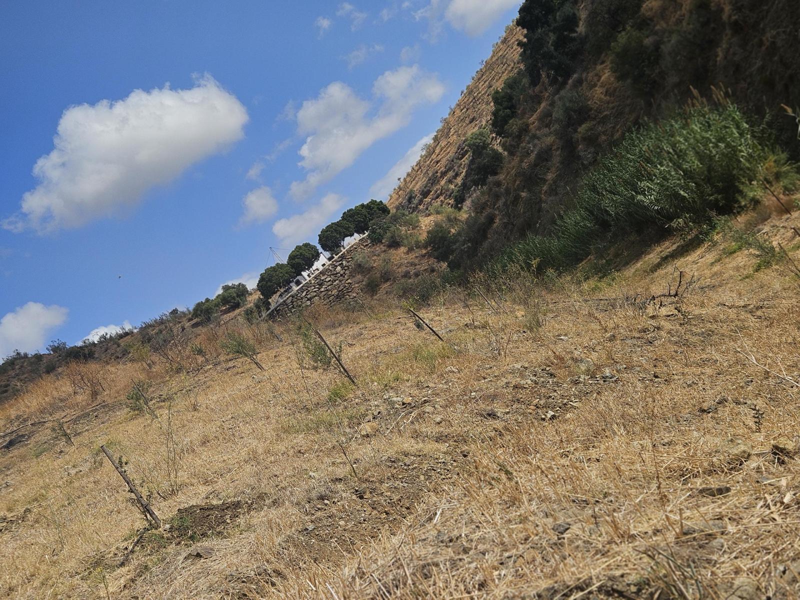 Plot for Sale in Casarabonela