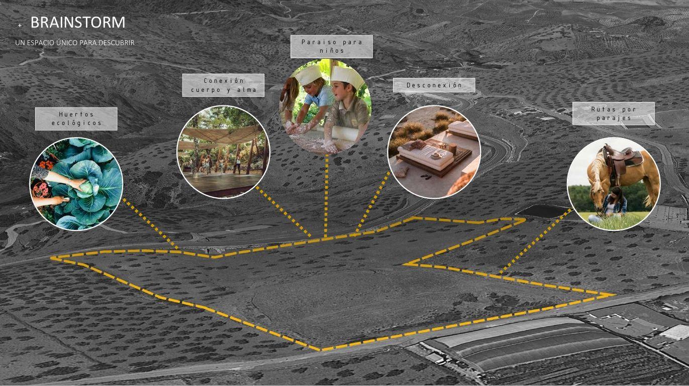 Plot for Sale in Tolox
