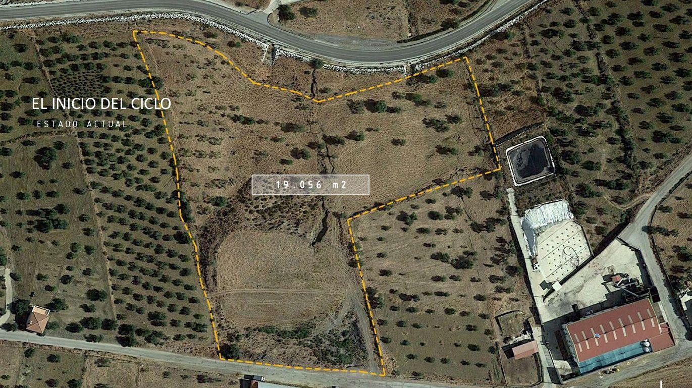Plot for Sale in Tolox