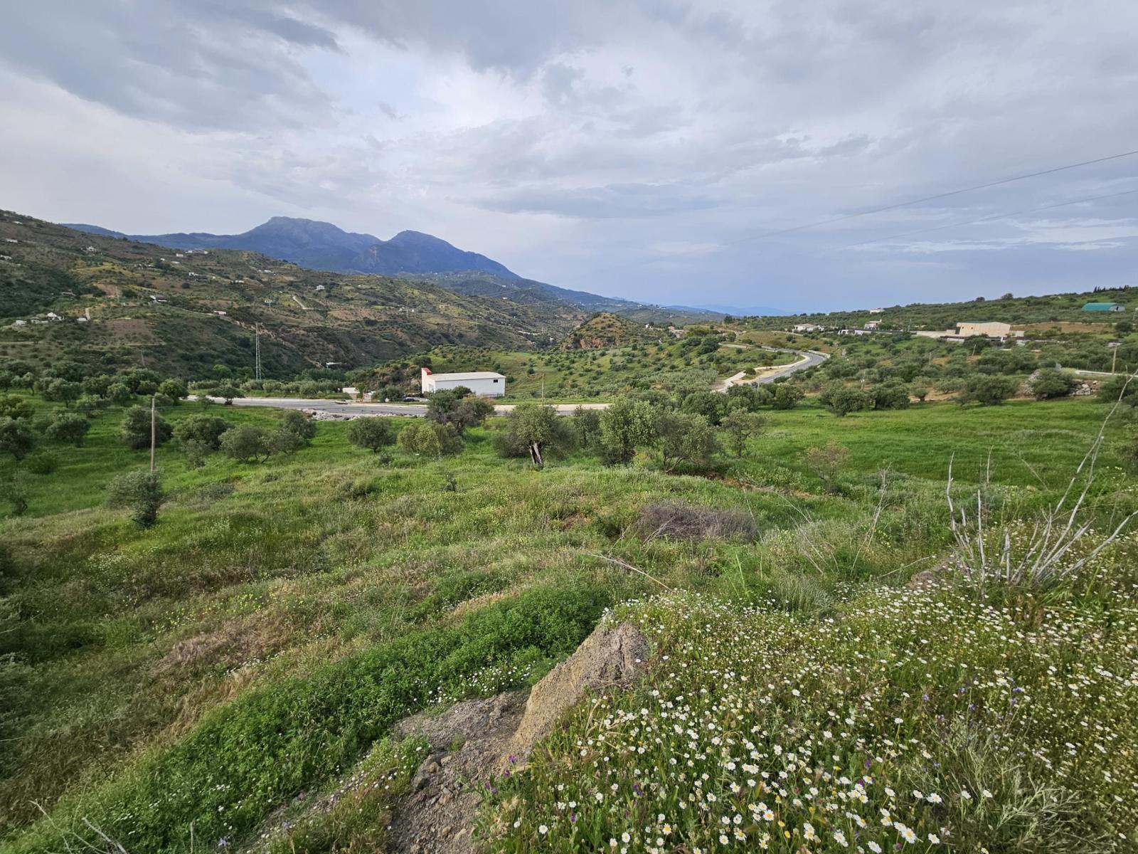 Plot for Sale in Tolox