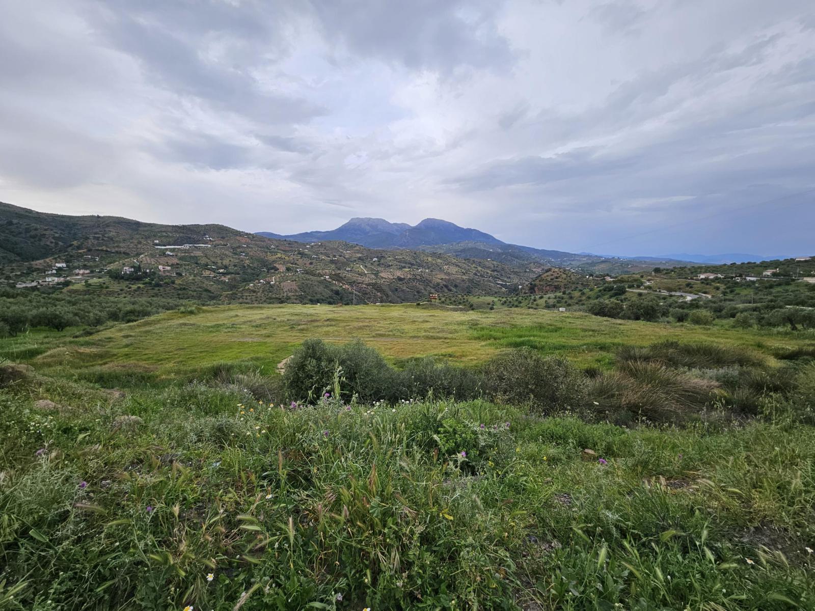 Plot for Sale in Tolox
