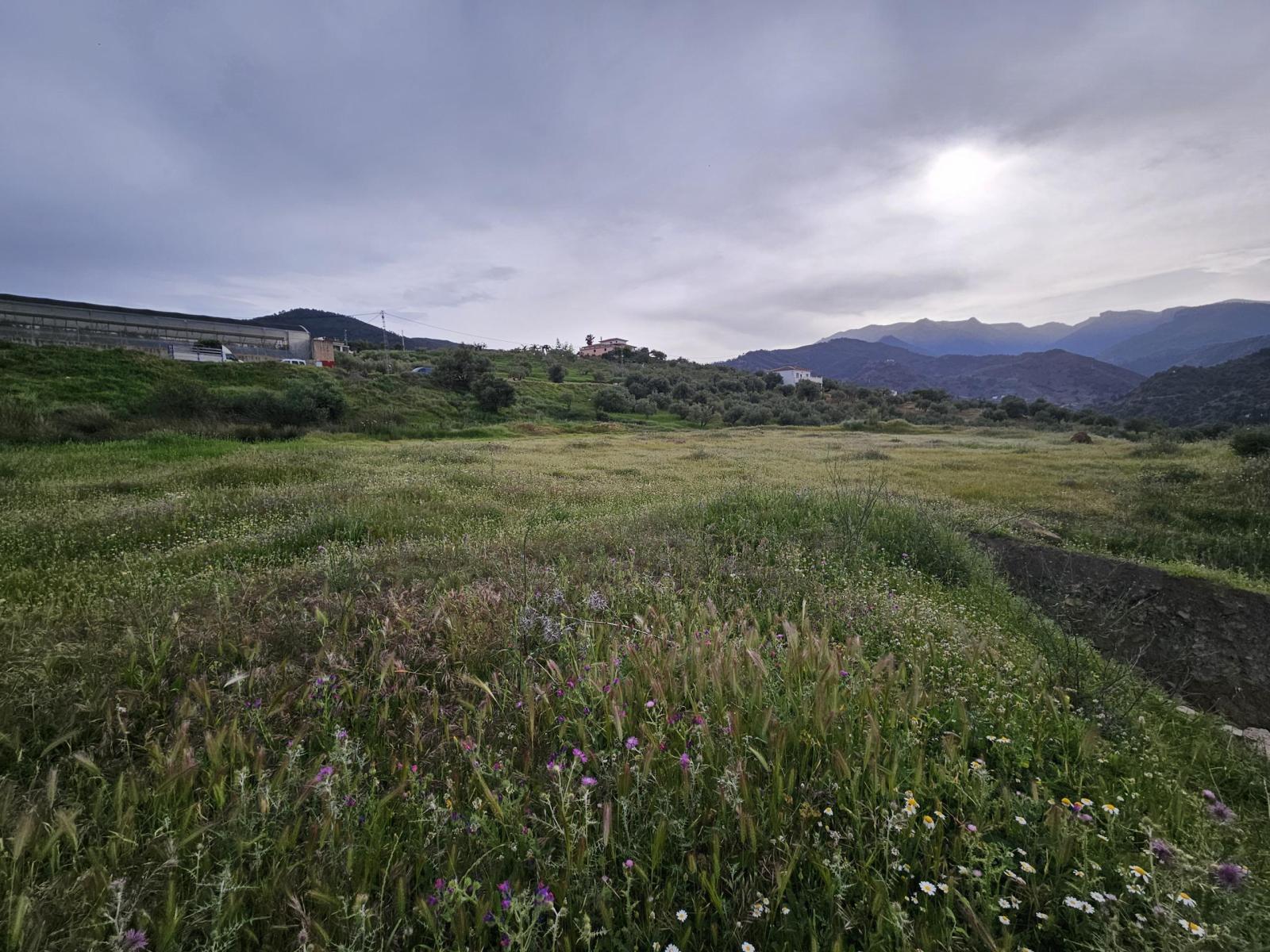 Plot for Sale in Tolox