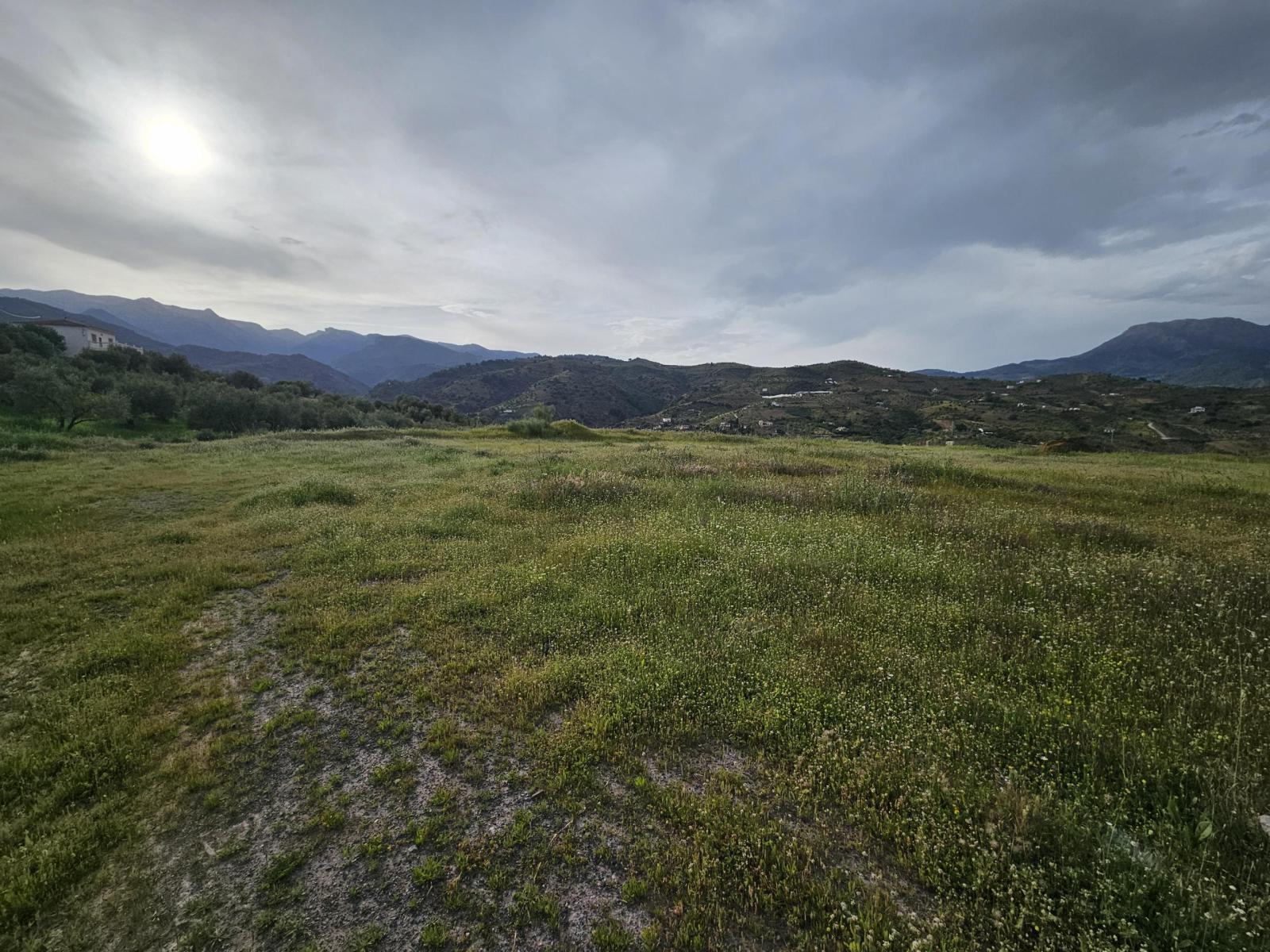 Plot for Sale in Tolox