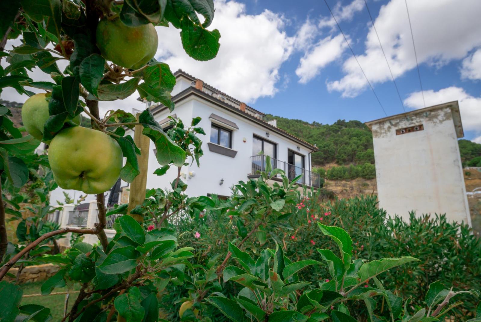 Villa for Sale in Casarabonela