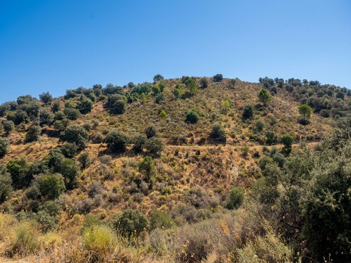 Plot for Sale in Monda