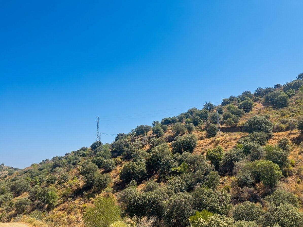 Plot for Sale in Monda