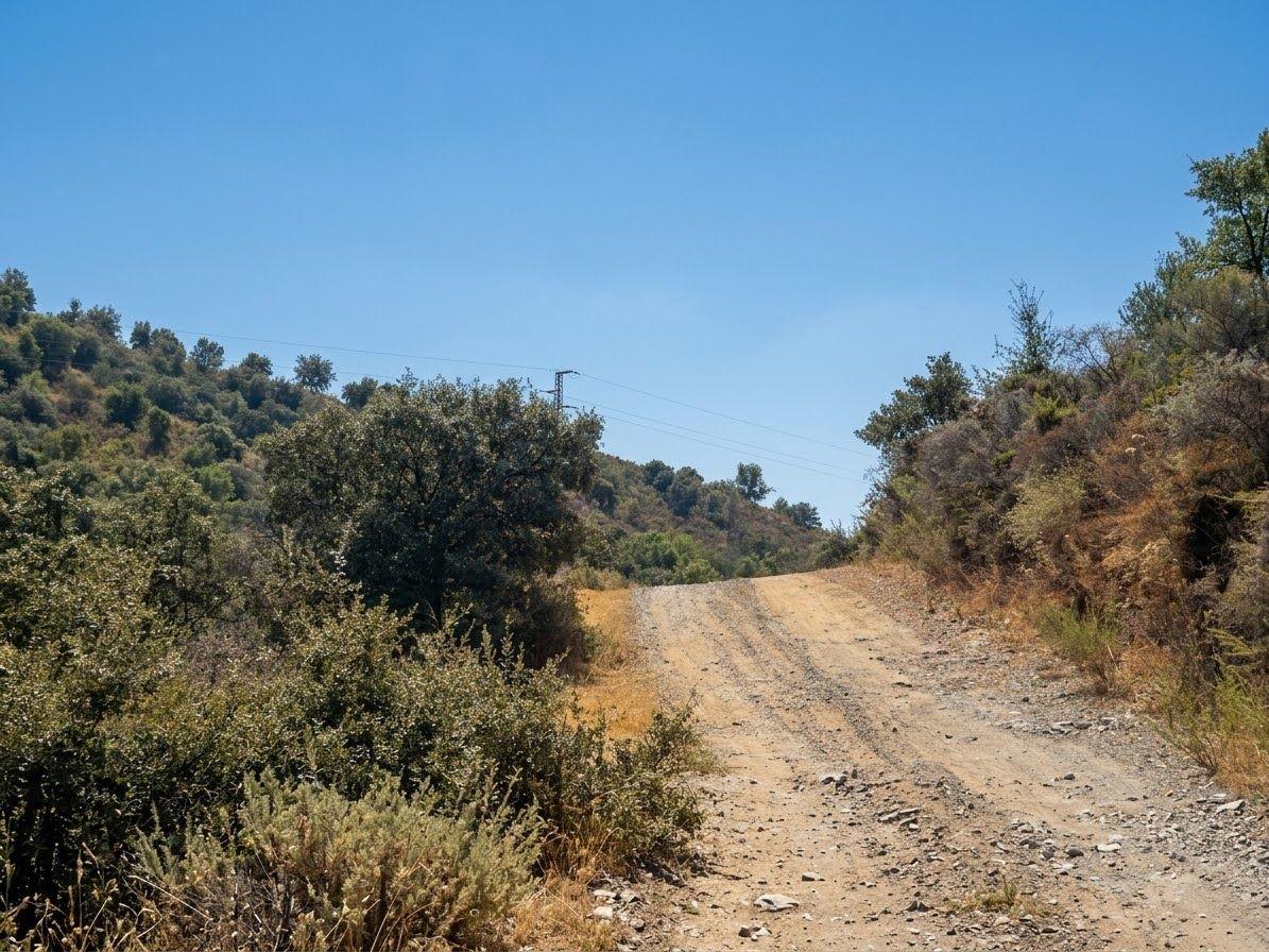 Plot for Sale in Monda