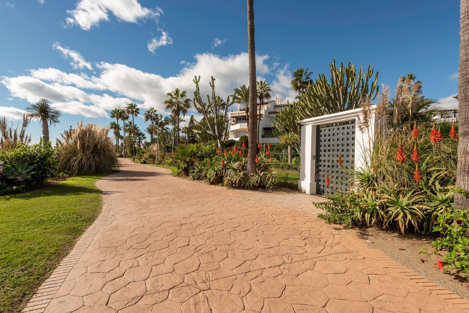 Apartment for Rent in Estepona