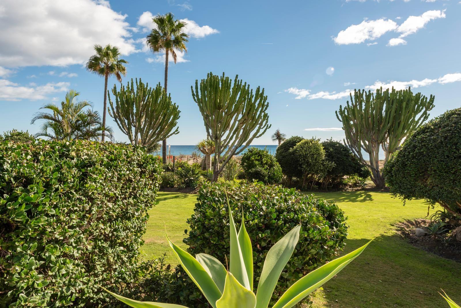 Apartment for Rent in Estepona