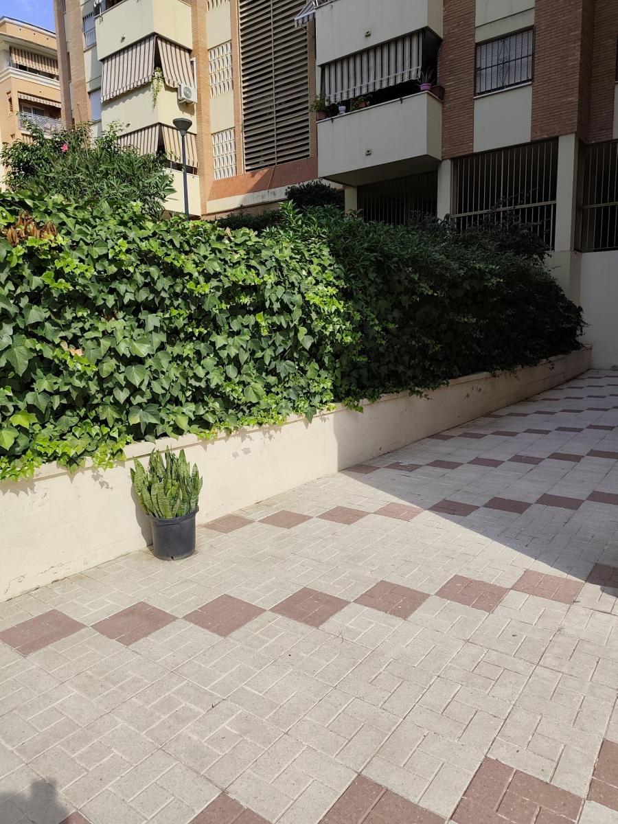 Apartamento en Venta en Málaga