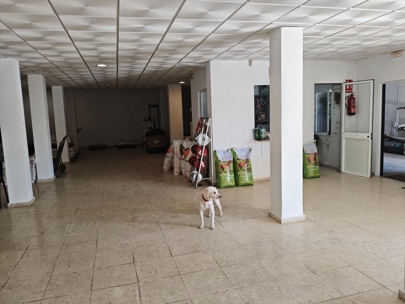 Premise for Sale in Tarifa