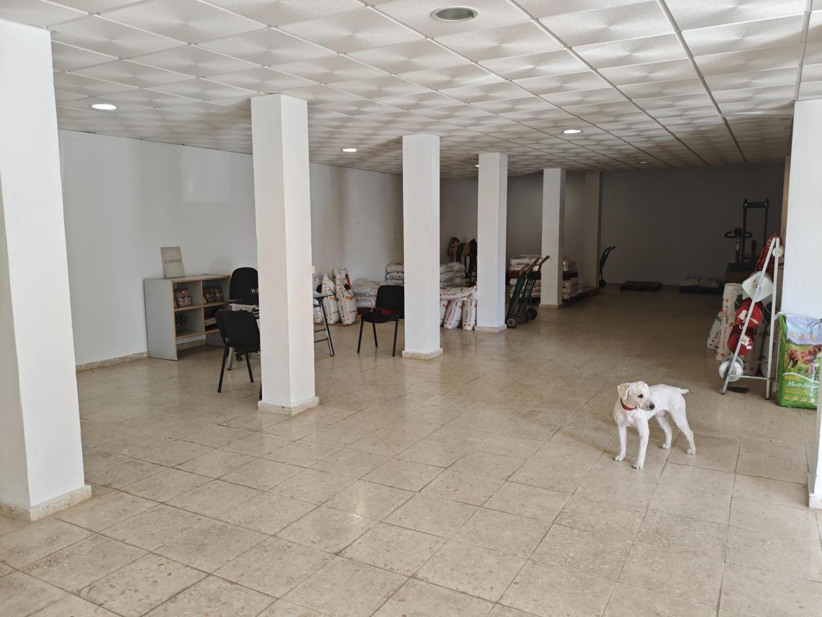 Premise for Sale in Tarifa