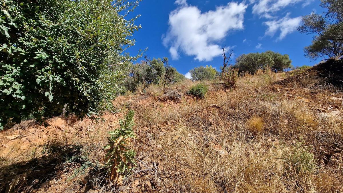 Parcela en Venta en Marbella