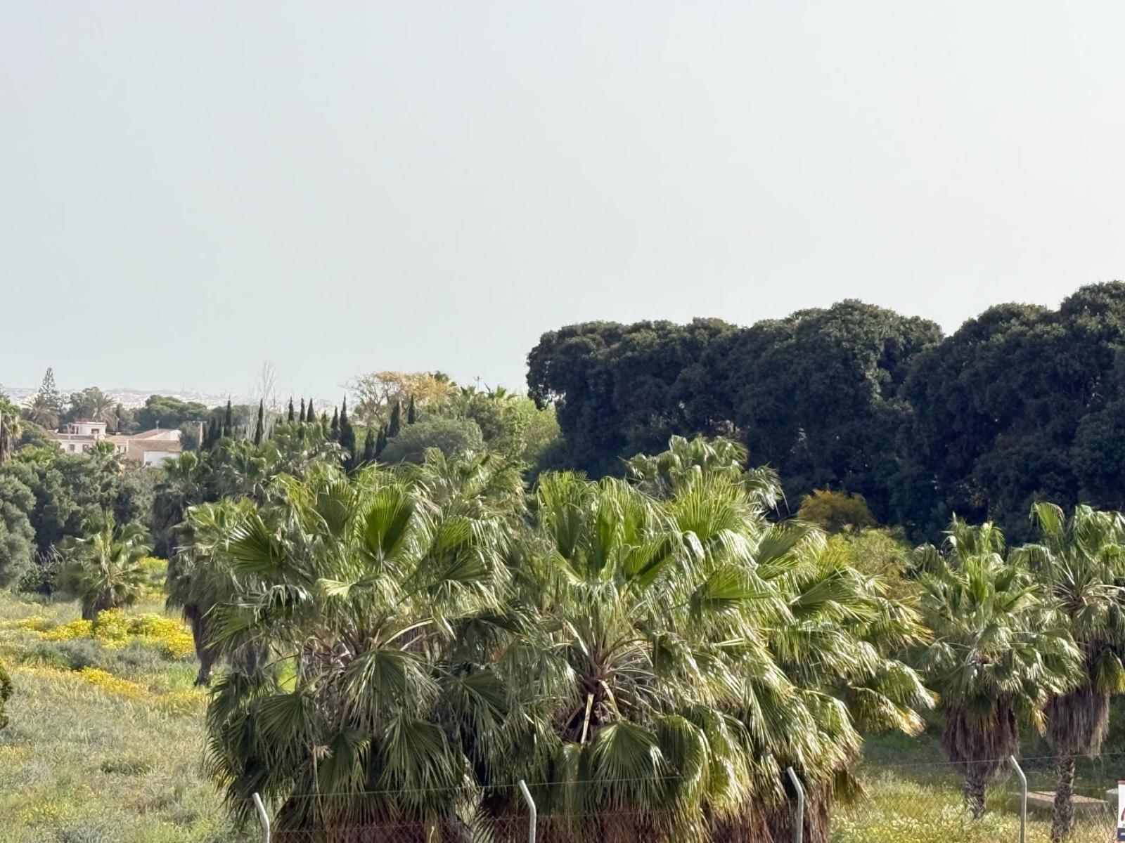 Chalet en Venta en Torrevieja