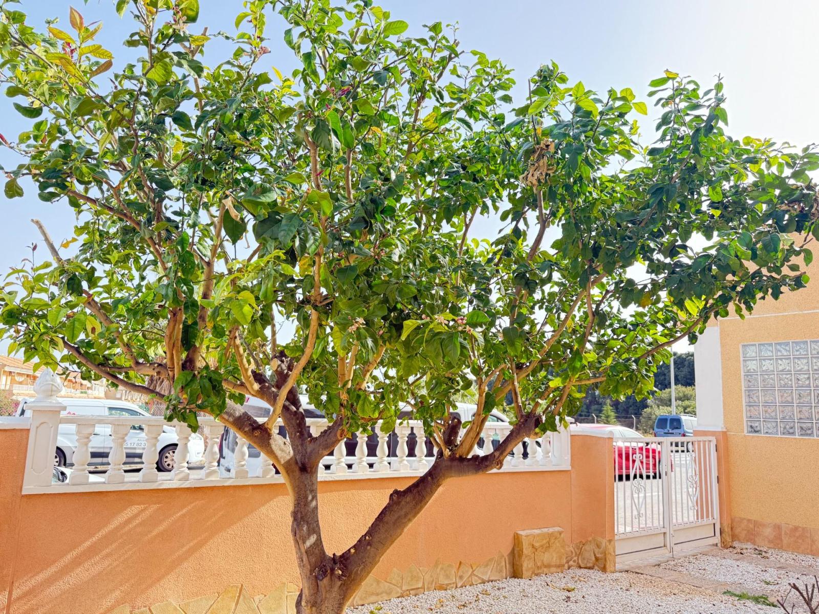 Chalet en Venta en Torrevieja