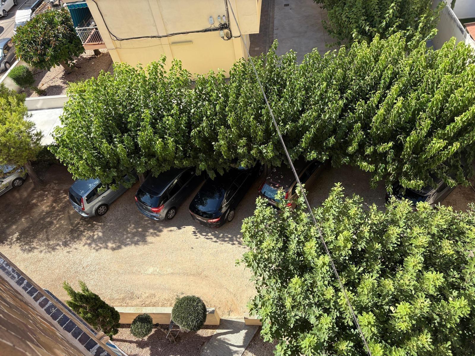 Apartamento en Venta en Torrevieja