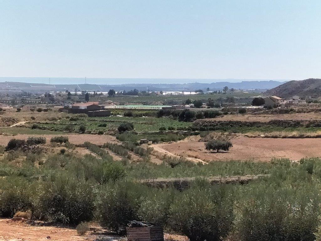 Villa en Venta en Jumilla