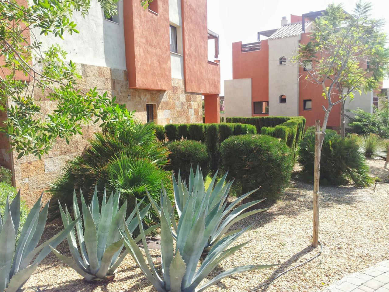 Flat for Rent in Vera