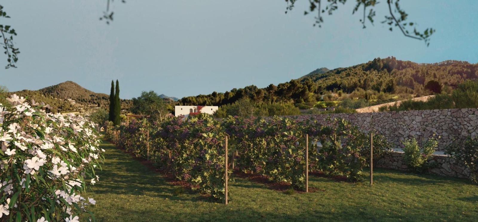 Casa en Venta en Ibiza