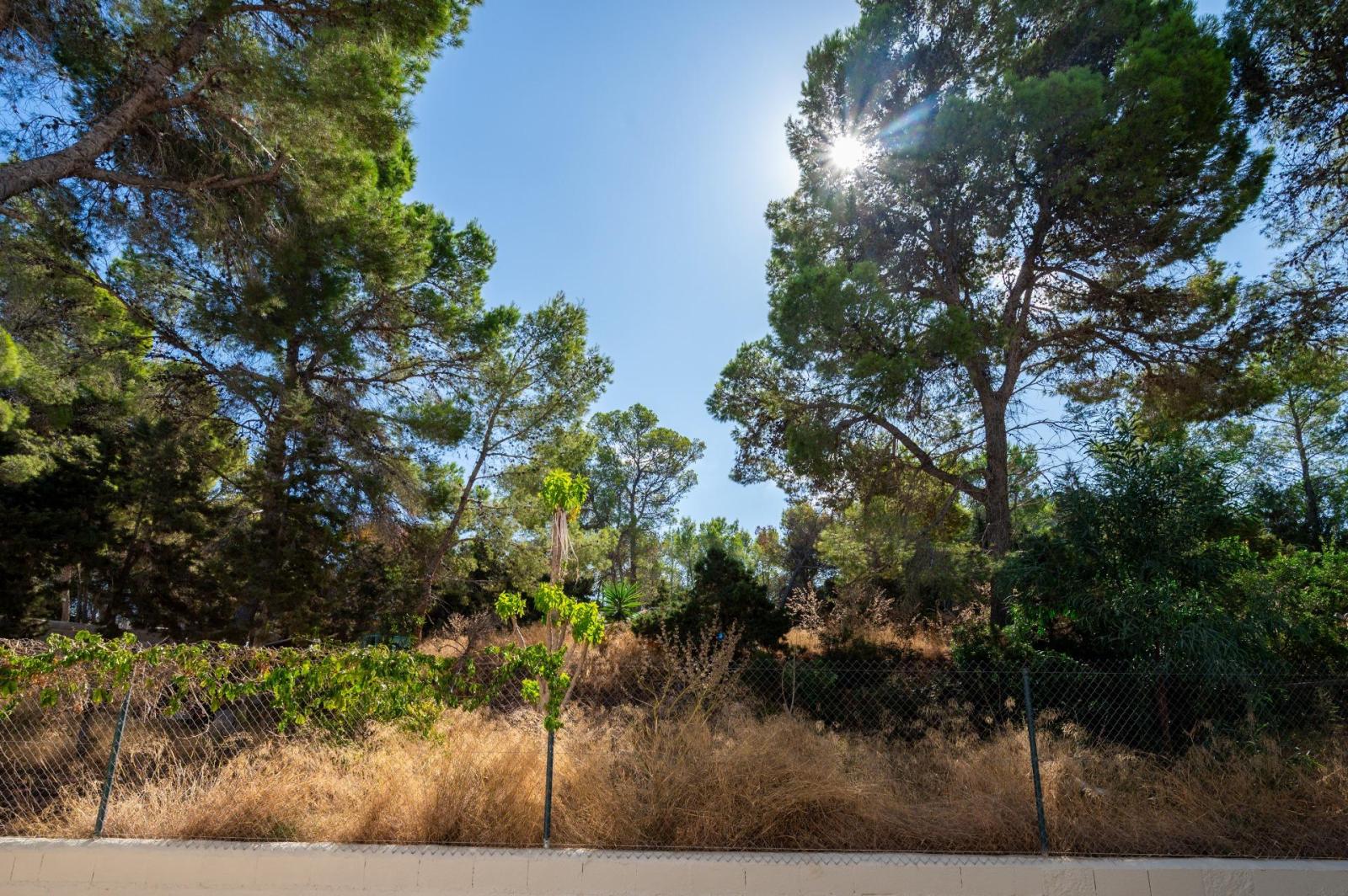 Apartment for Sale in Sant Joan de Labritja