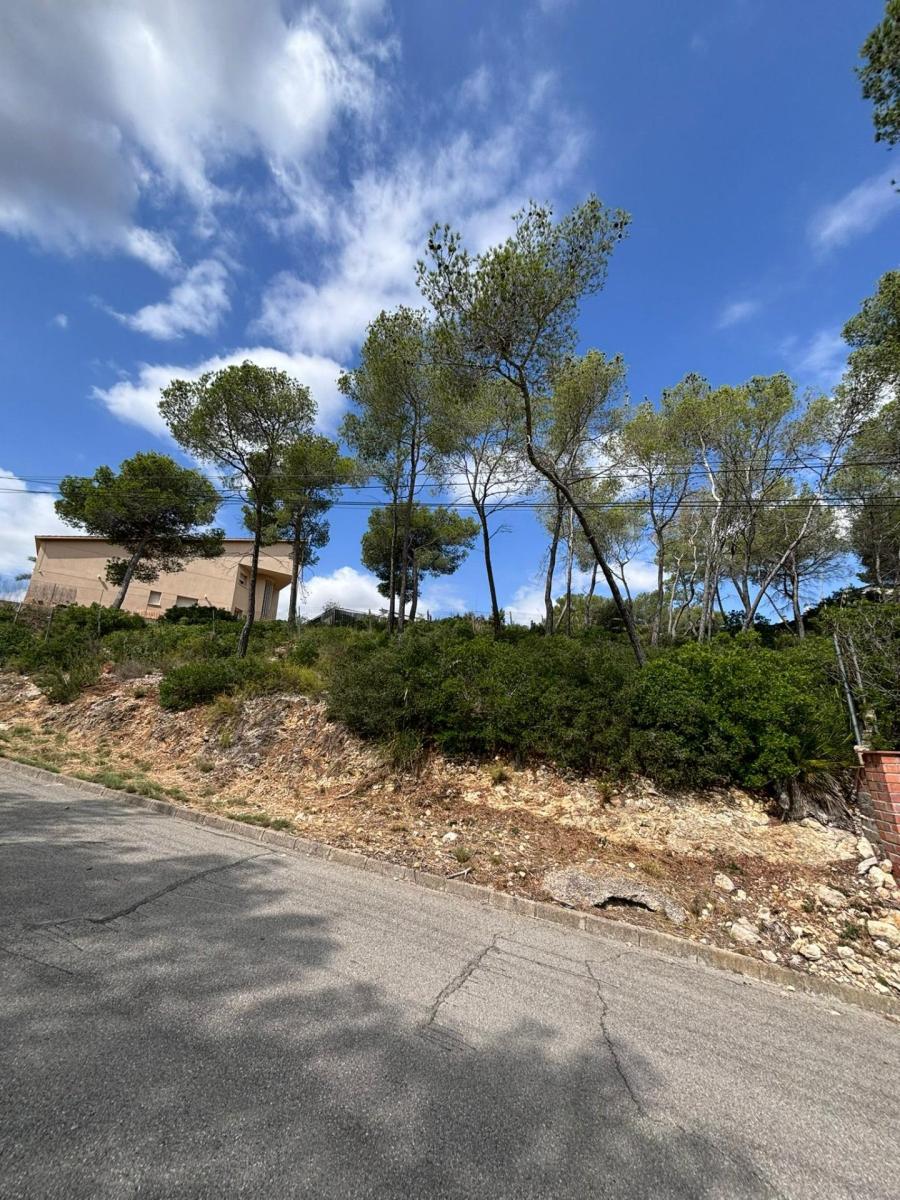 Parcela en Venta en Olivella