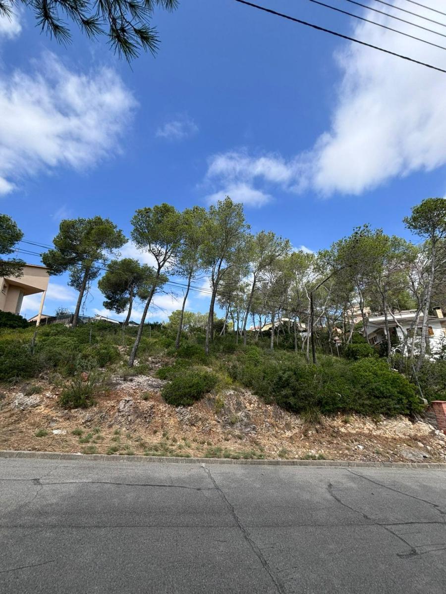 Parcela en Venta en Olivella