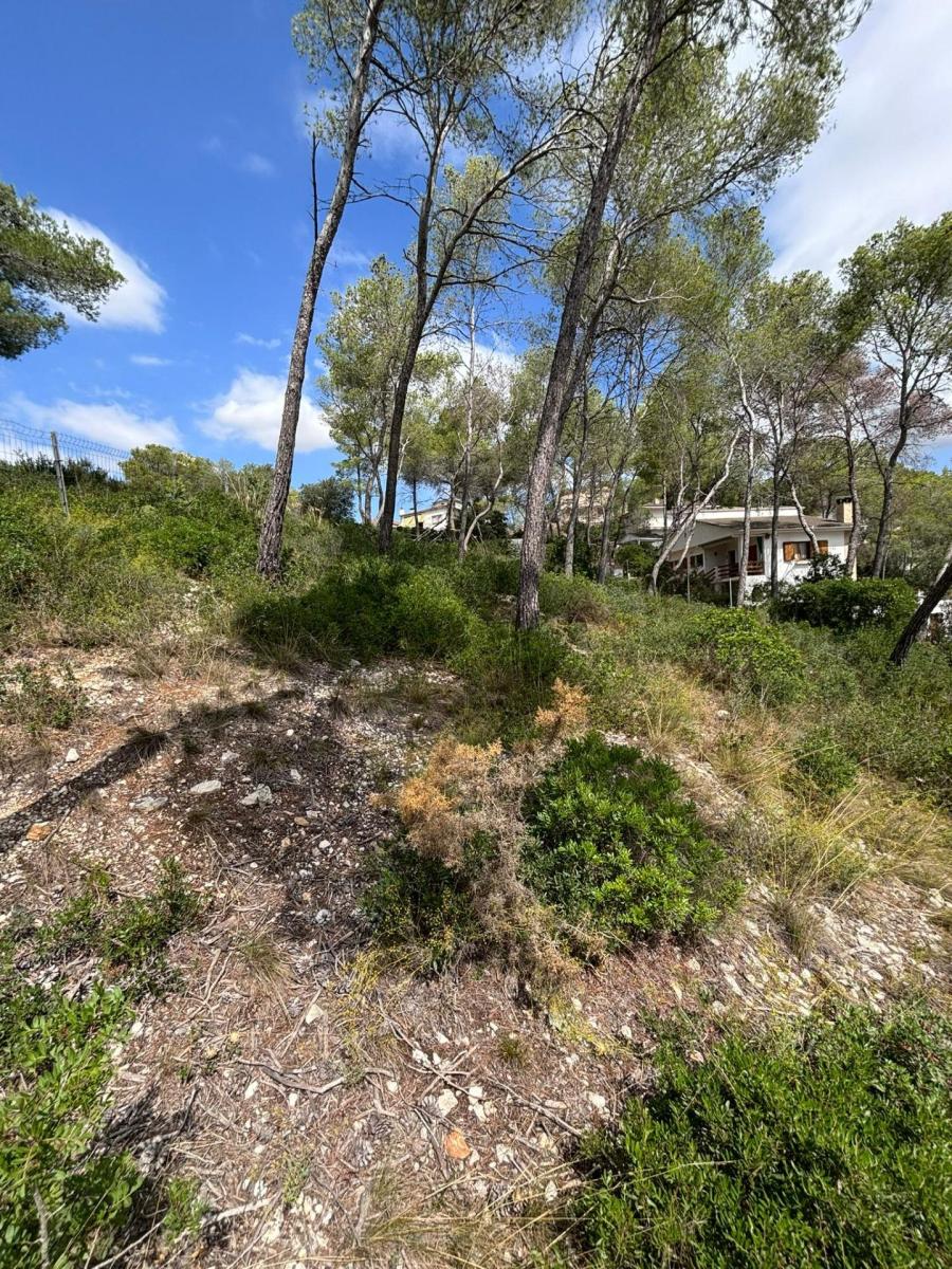 Parcela en Venta en Olivella