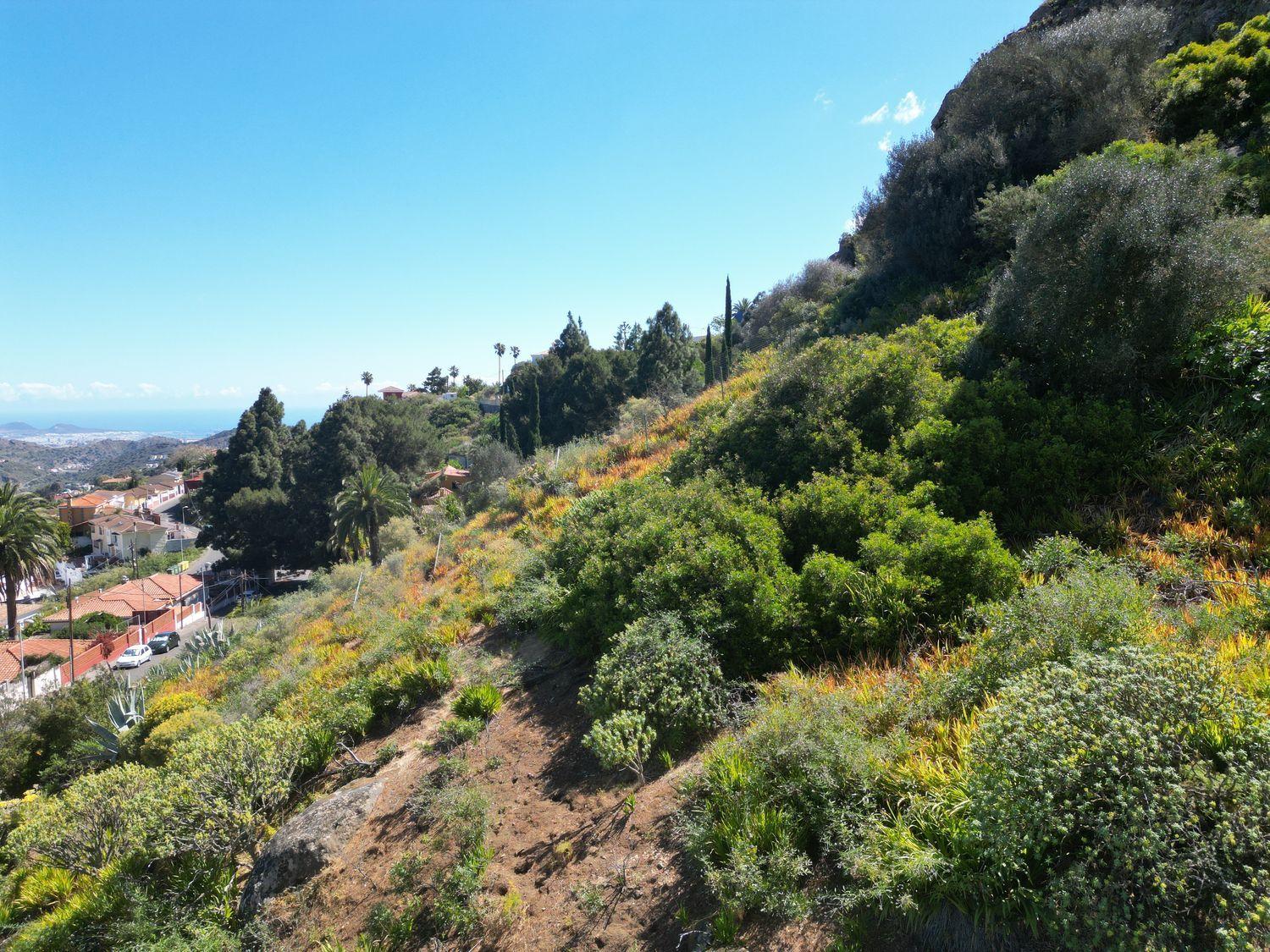 Plot for Sale in Santa Brígida