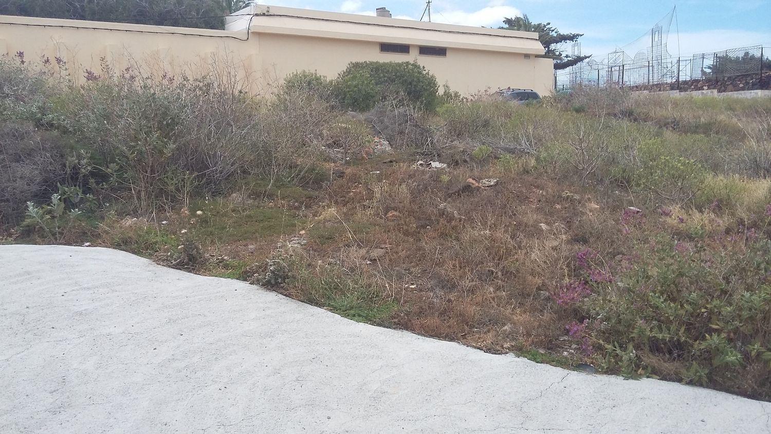 Plot for Sale in Ingenio
