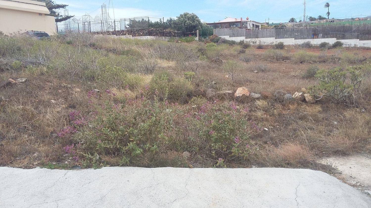 Plot for Sale in Ingenio