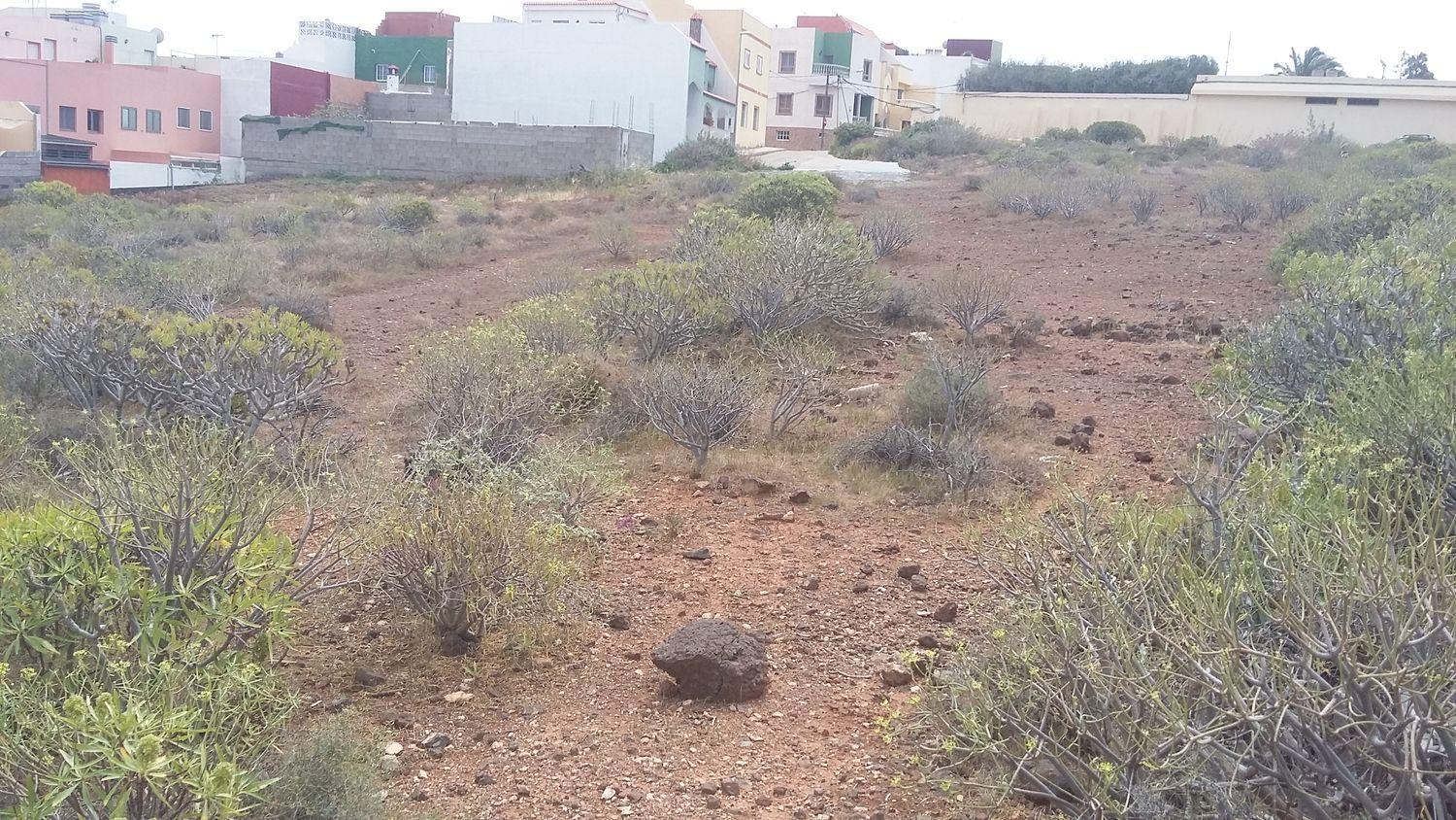 Plot for Sale in Ingenio