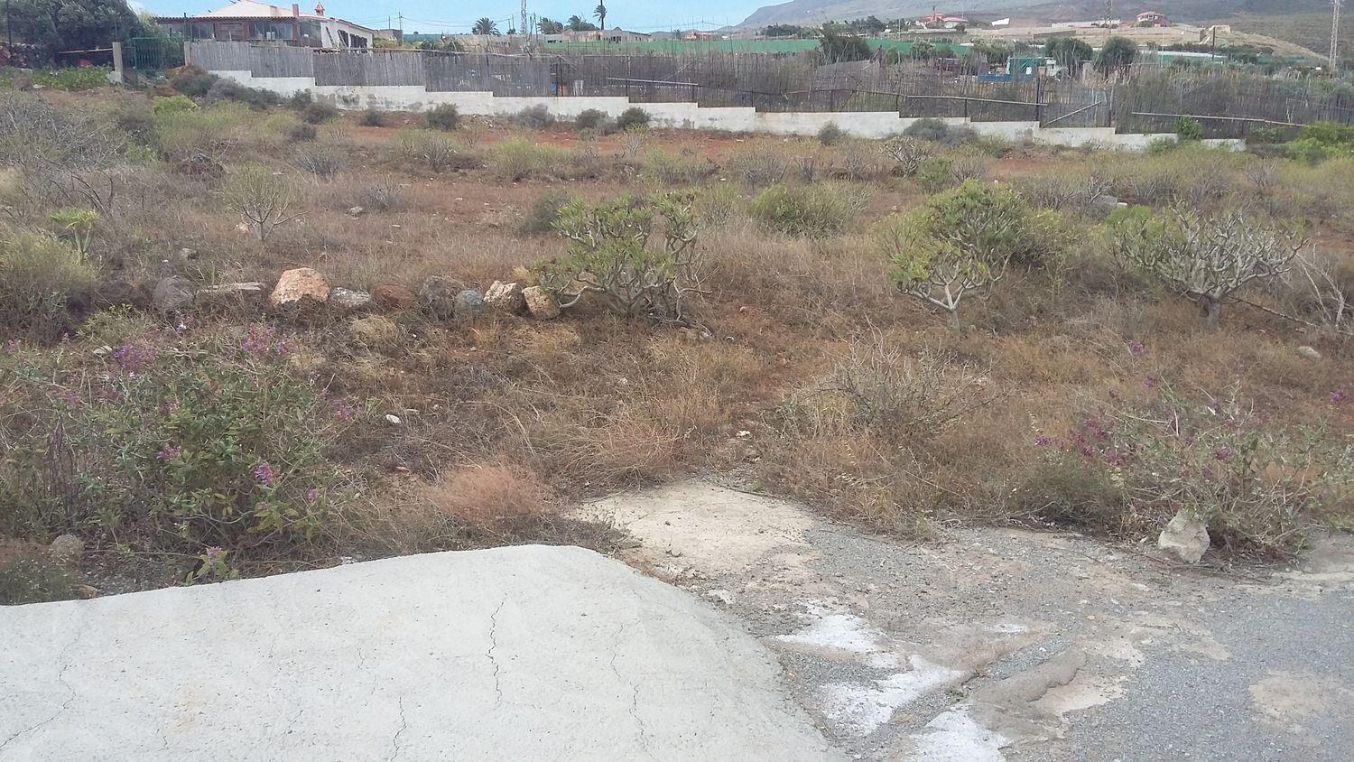 Plot for Sale in Ingenio