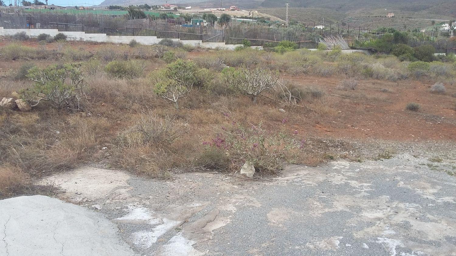 Plot for Sale in Ingenio