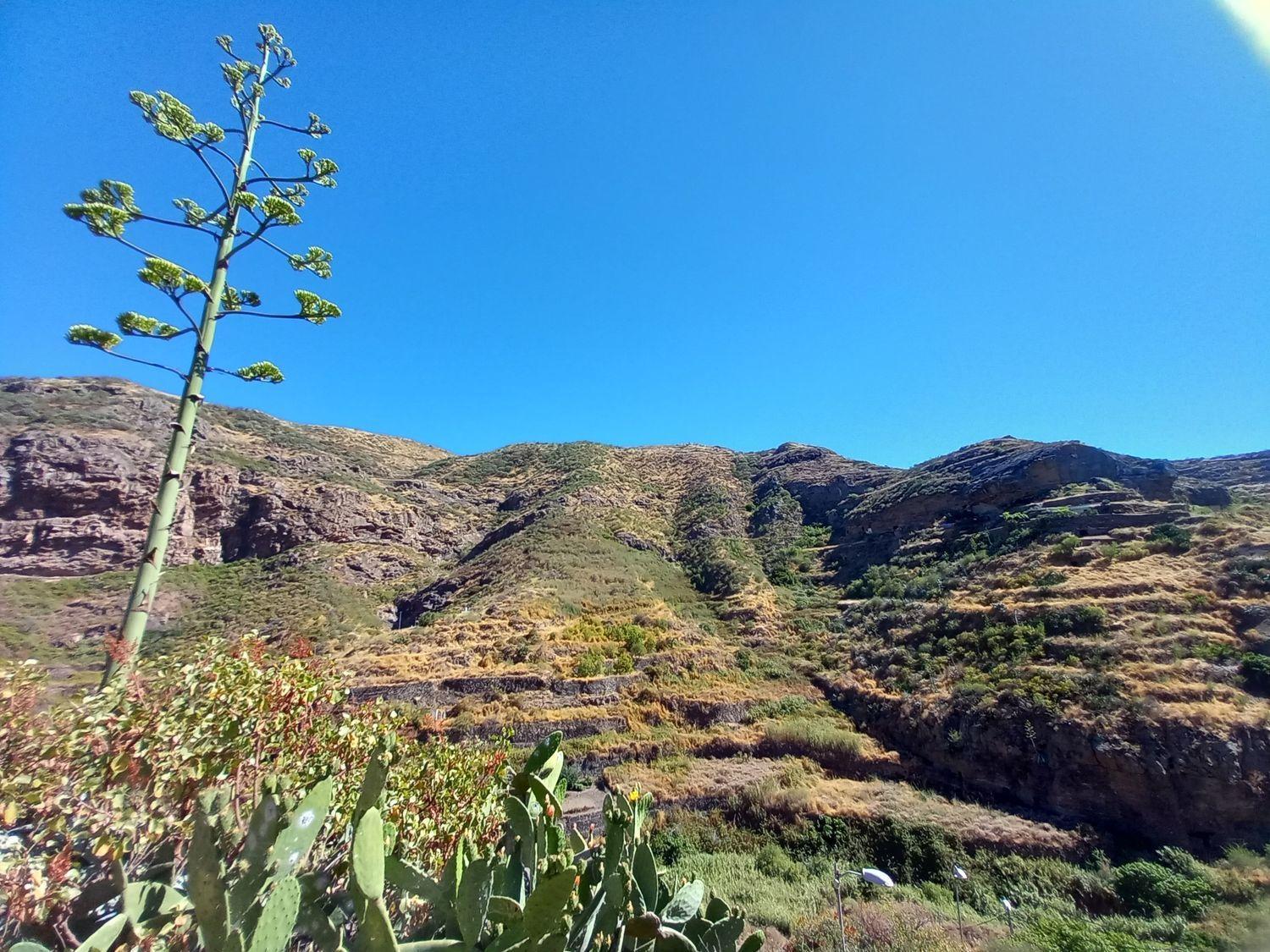 Casa en Venta en Gáldar