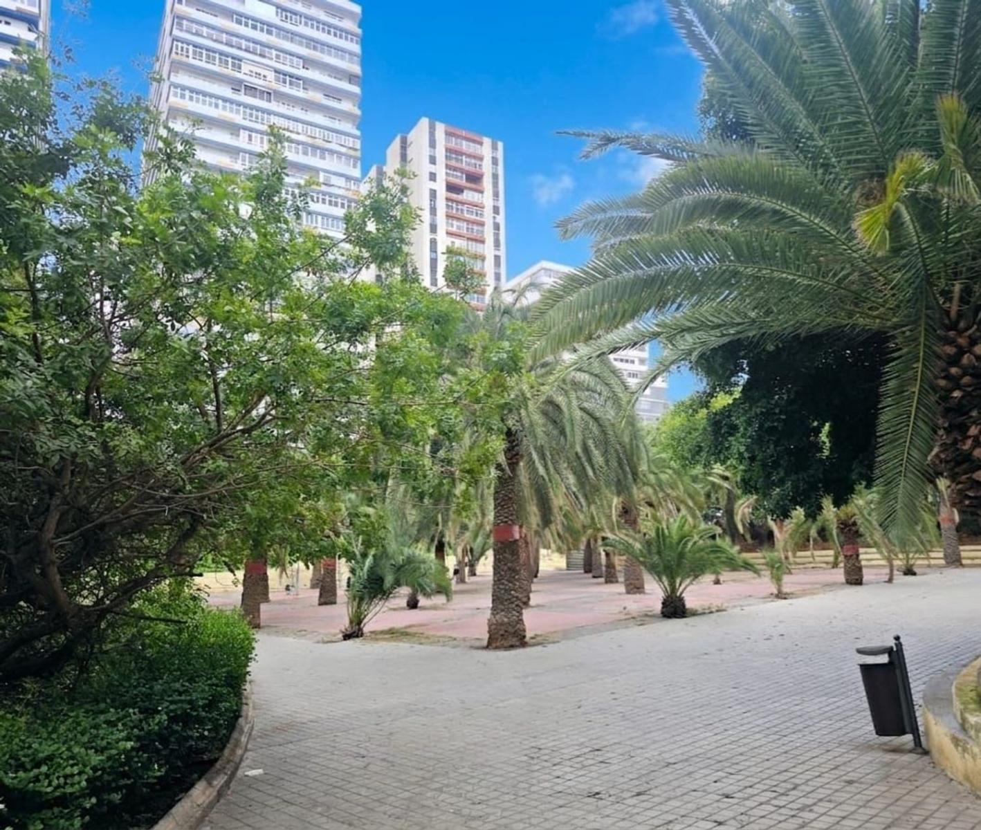 Flat for Sale in Las Palmas de Gran Canaria