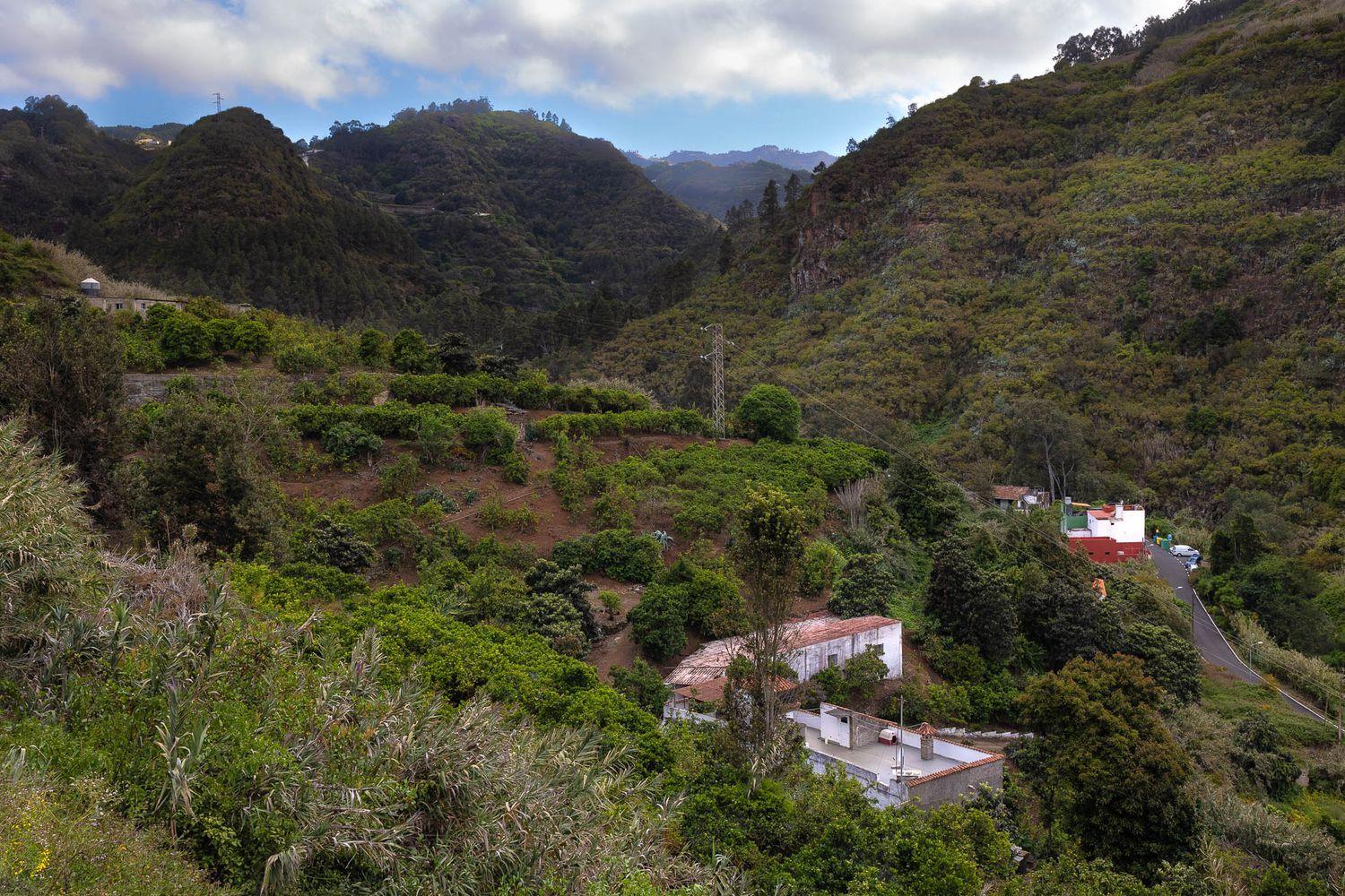 House for Sale in Firgas