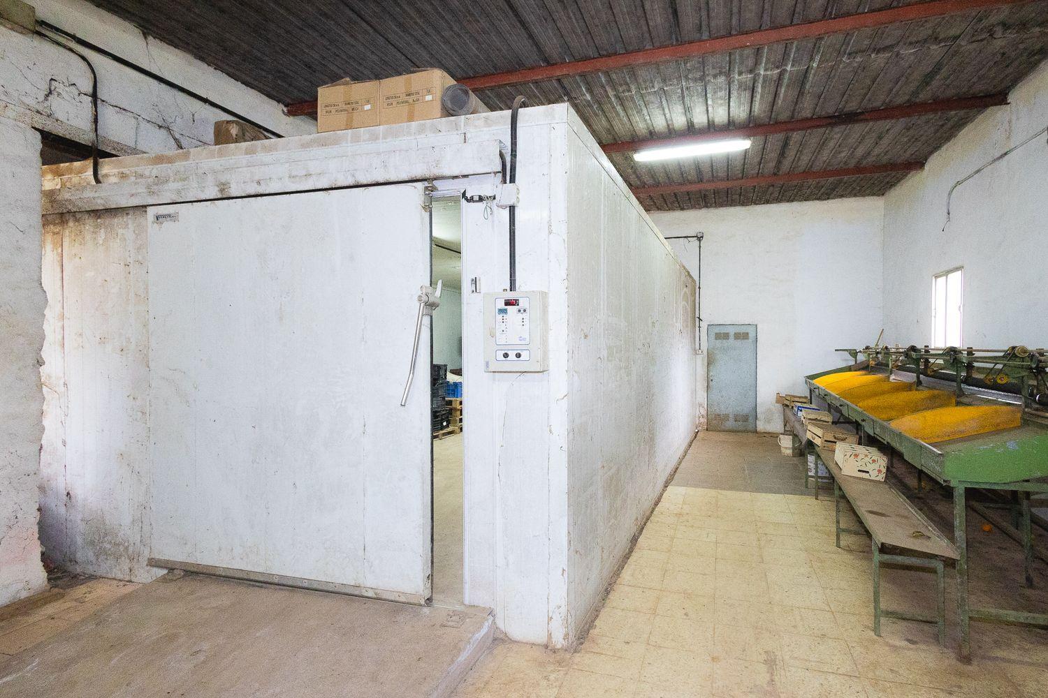 House for Sale in Firgas