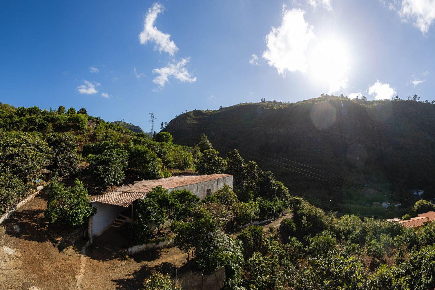 House for Sale in Firgas