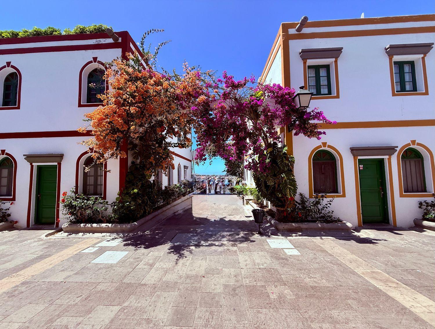 Flat for Sale in Mogán