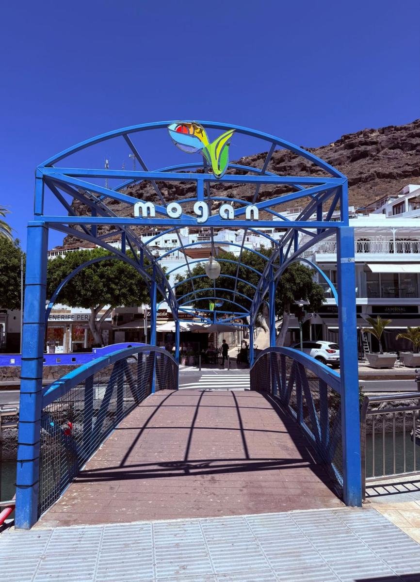 Flat for Sale in Mogán