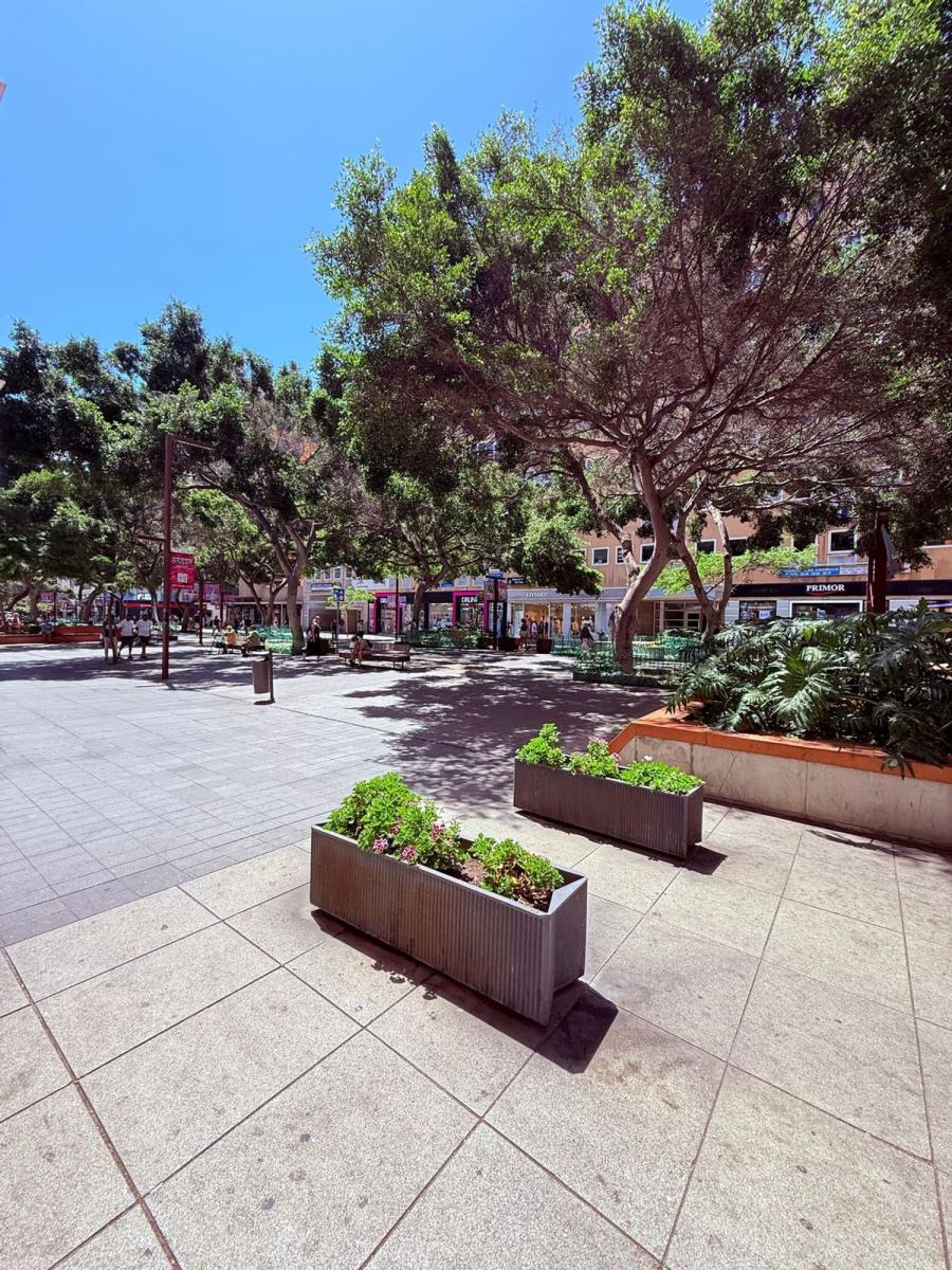 Flat for Rent in Las Palmas de Gran Canaria