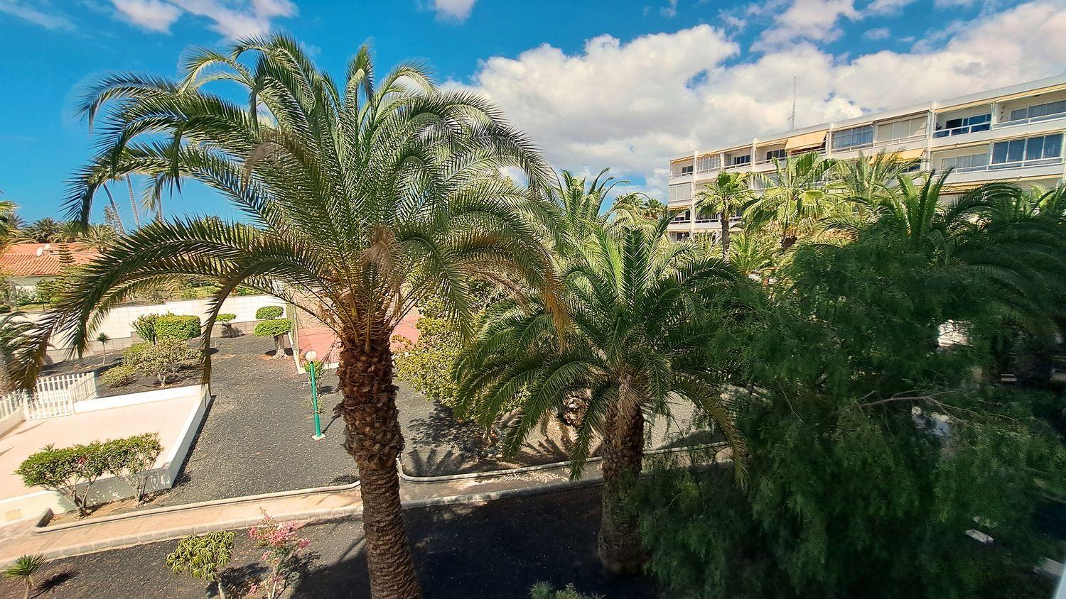 Flat for Sale in San Bartolomé de Tirajana