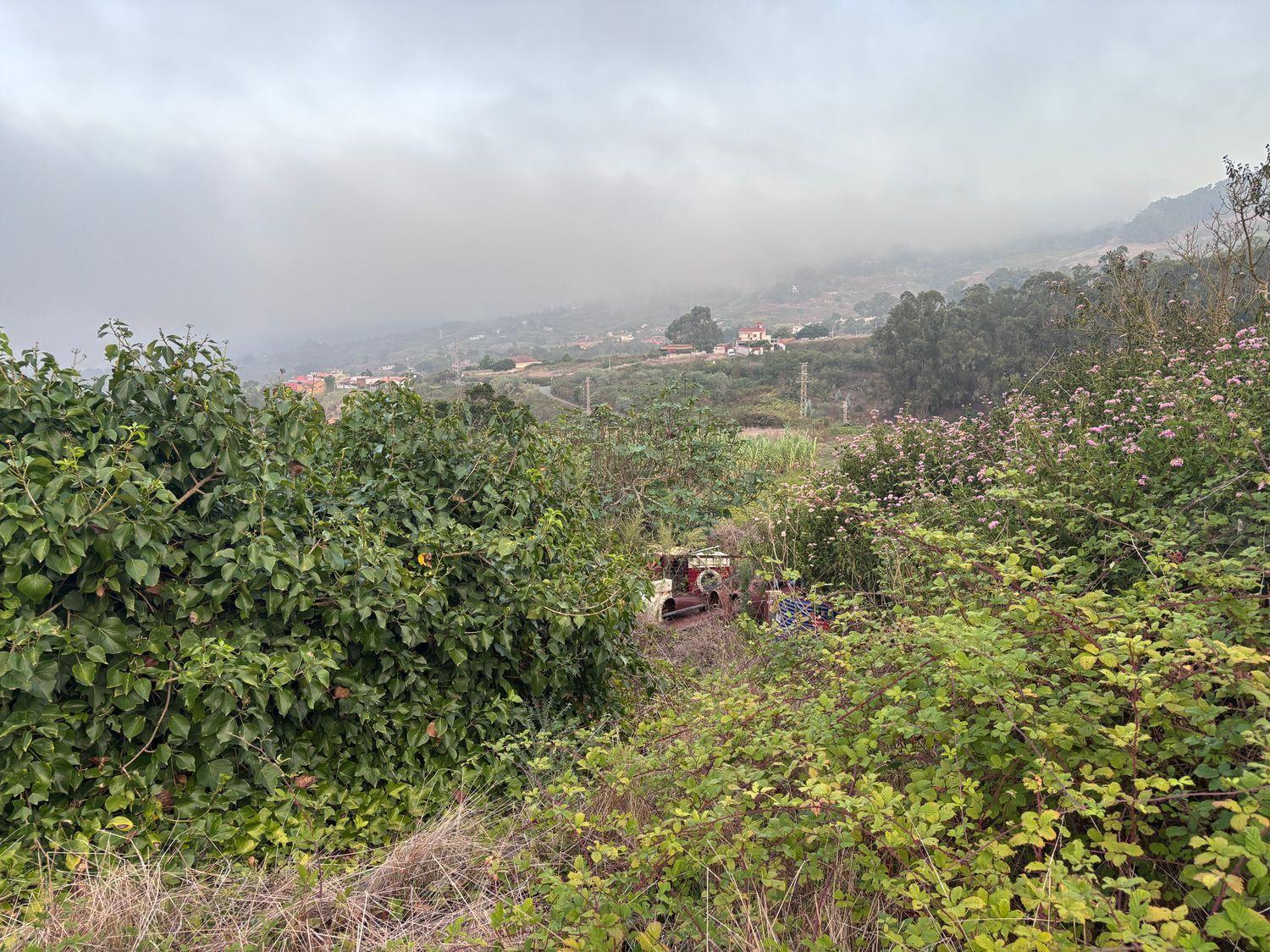 Building Site for Sale in Firgas