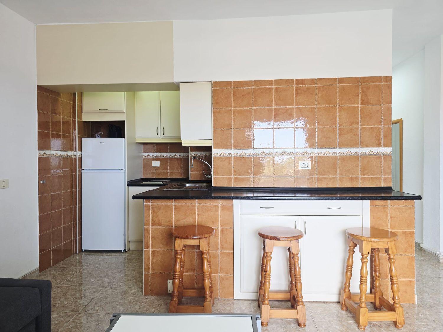 Flat for Sale in San Bartolomé de Tirajana
